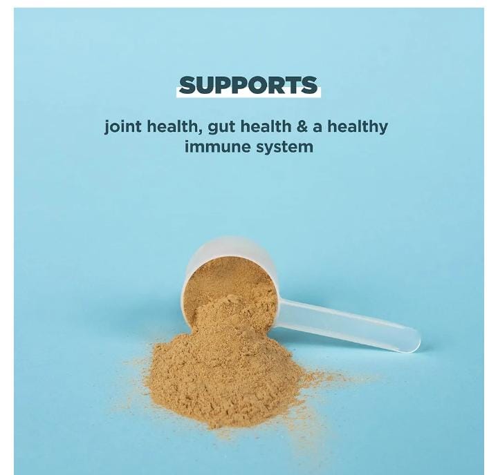 Ancient Nutrition Protein Powder