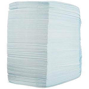 Basics Dog & Puppy Pee Pads – 100 Pack, 22x22", Leak-Proof & Quick-Dry